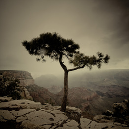 wolfgang feik - photography