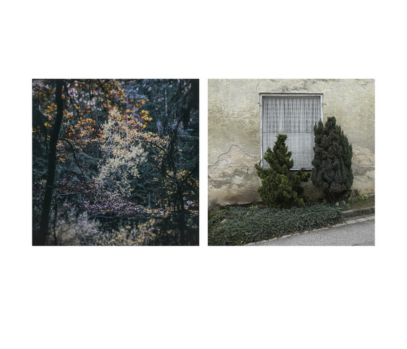 "Beziehungsgeschichten"