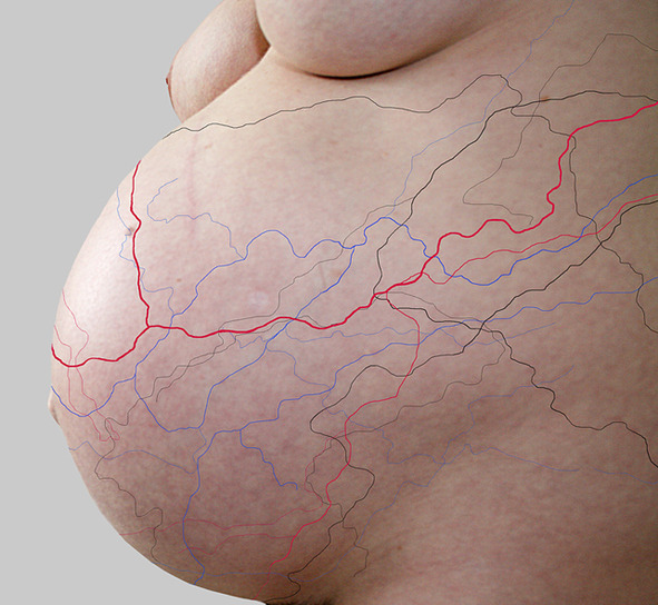 Catrin Wechler "Zwischen Menschen"