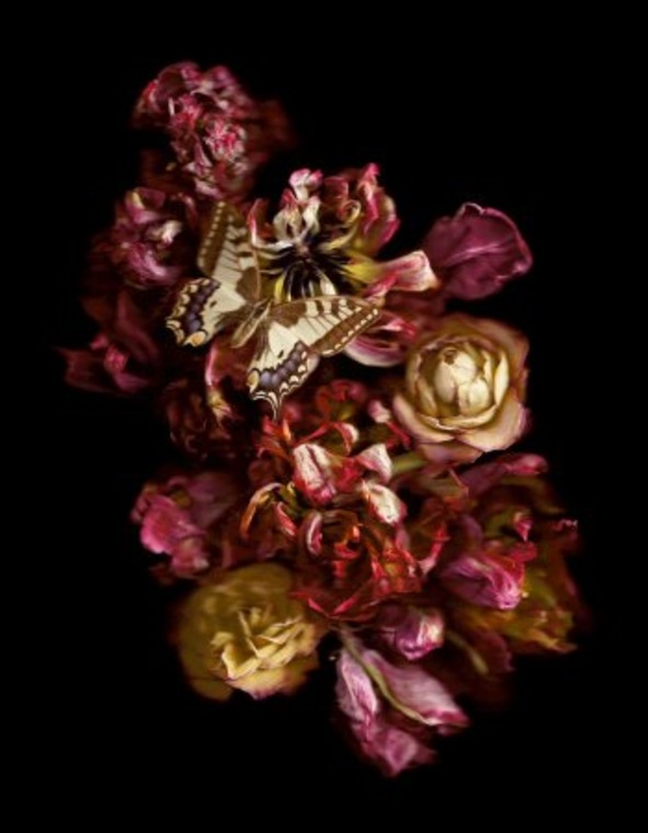 © Annet van der Voort