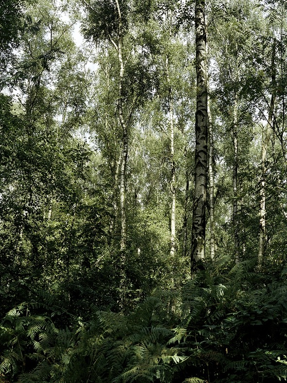 in focus Galerie - Burkhard Arnold zu Gast in der Michael Horbach Stiftung