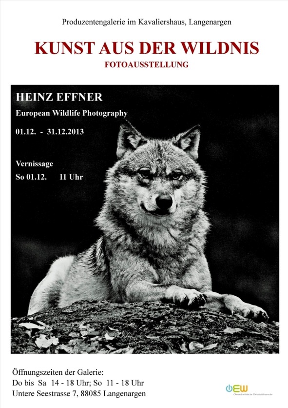 "Kunst aus der Wildnis"