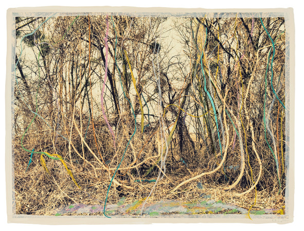 Bild: Regina Anzenberger