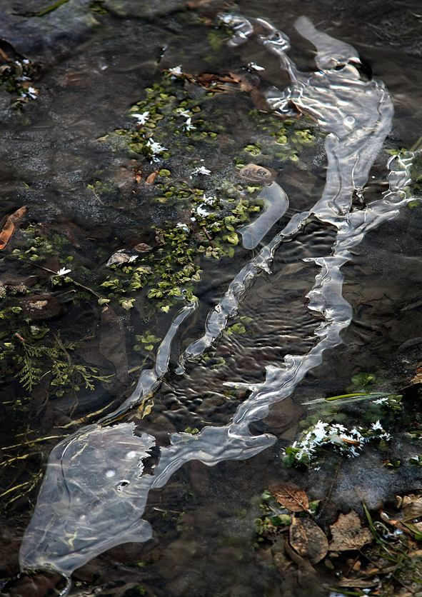 Wasser und Zeit - Fotos von Clemens Molinari