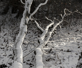 Strukturen im Schnee