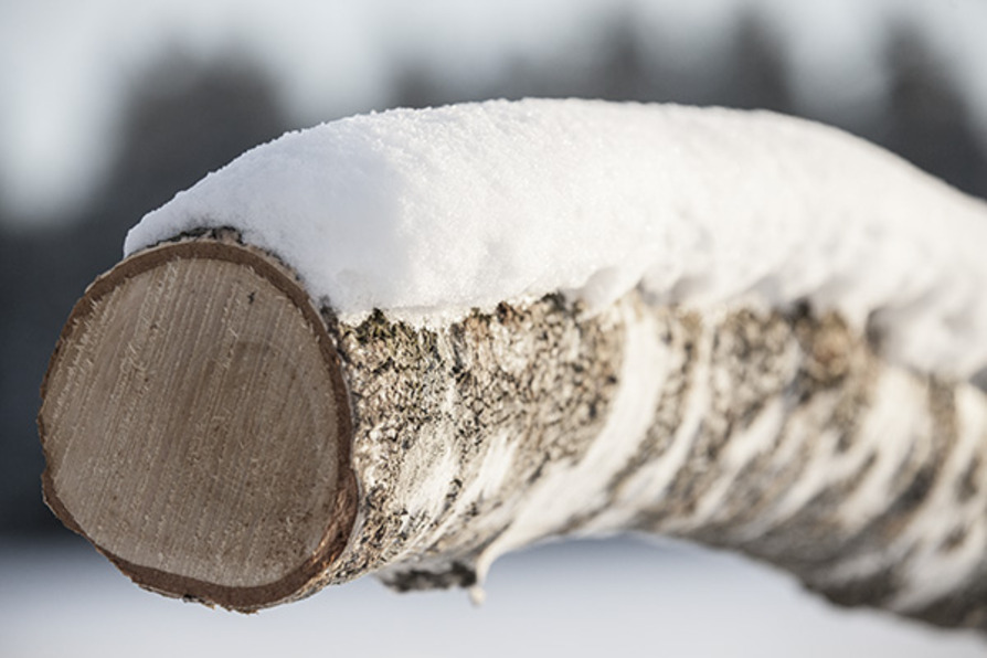 Aufnahme mit Teleobjektiv