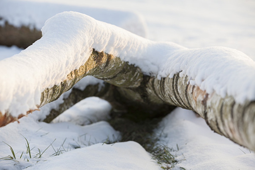 Strukturen im Schnee