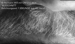 Ausschnitt_1Sekunde_Freihand
