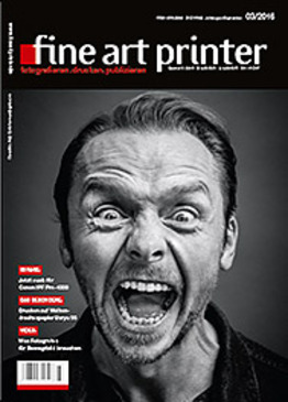Cover_FAP_3_16smallpsd