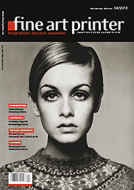 CoverFAP4_13