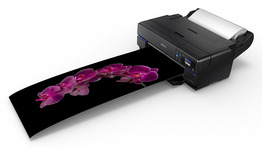 Surecolore P800 von Epson für Fineartxrints bis Format A2+