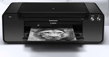 FineArtPrinting mit dem Canon Pixma Pro-1