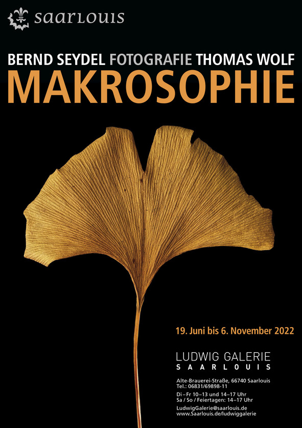 Plakat für Makrosophie-ausstellung