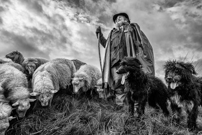 Wanderschäfer John Kimmel mit Schafen und Hunden © Holger Rüdel