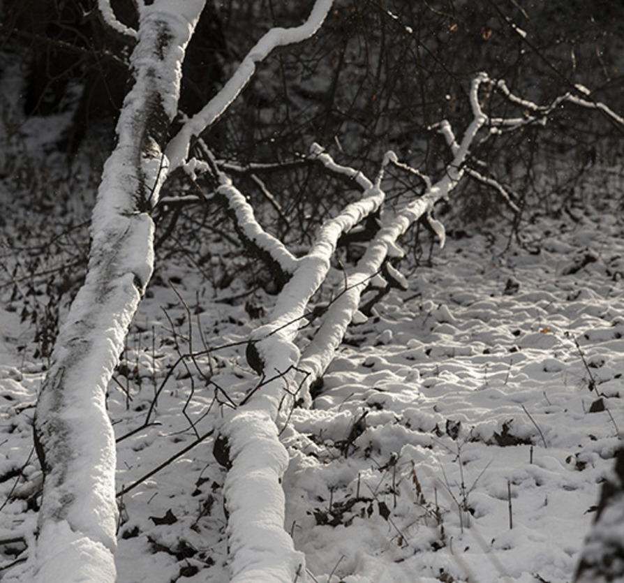 Einsteiger-Foto-Tipps 