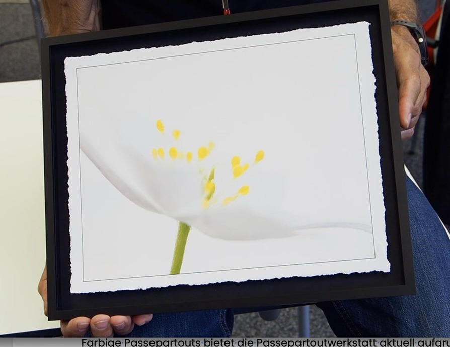 MIT_REISSkante_Blüte