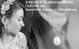 Ohr_DSF0217_cut