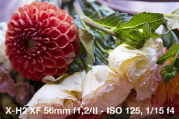 Stillife_56mm
